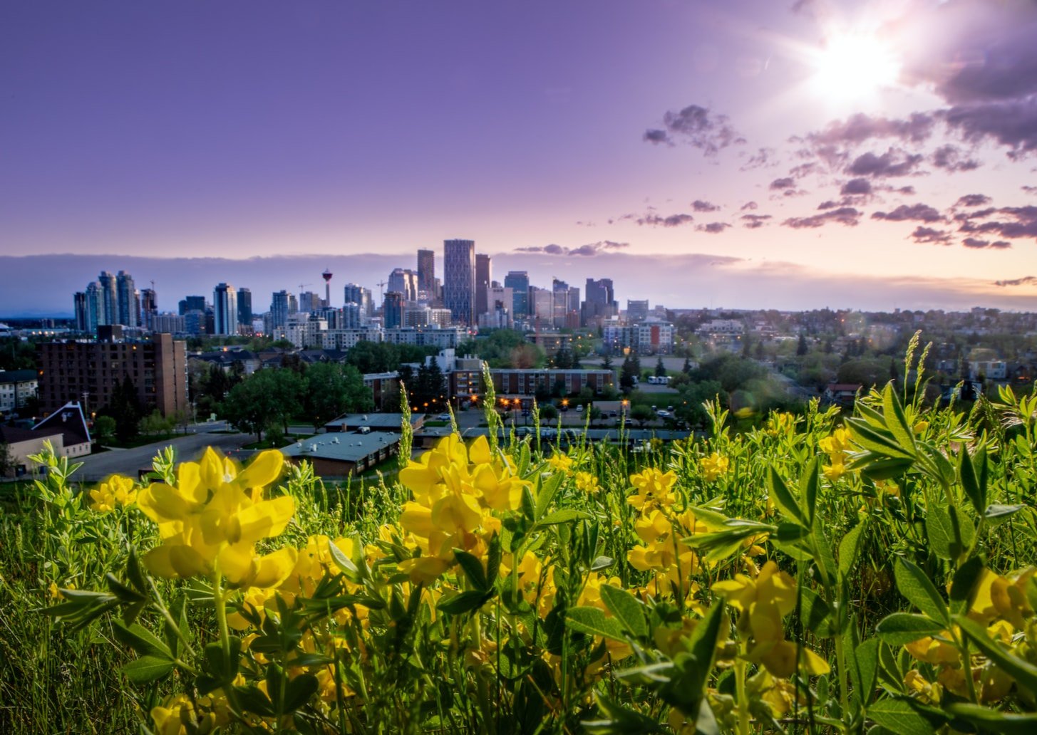 10 Home Maintenance Tips for Spring